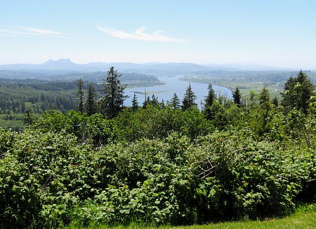 IMG 0752