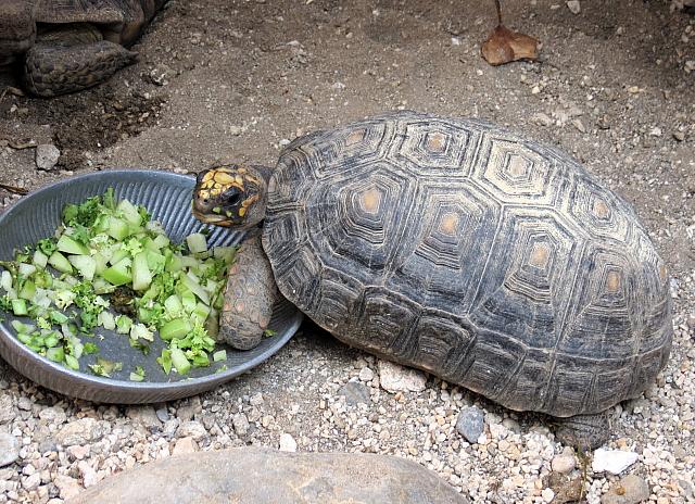 IMG 1835