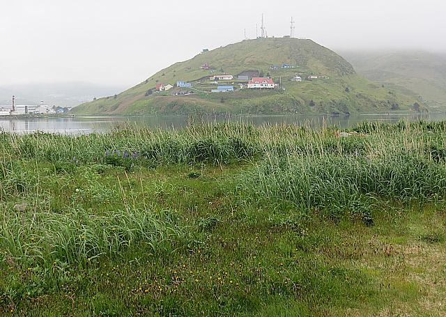 IMG 2416