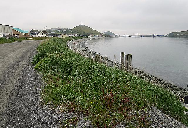 IMG 2438