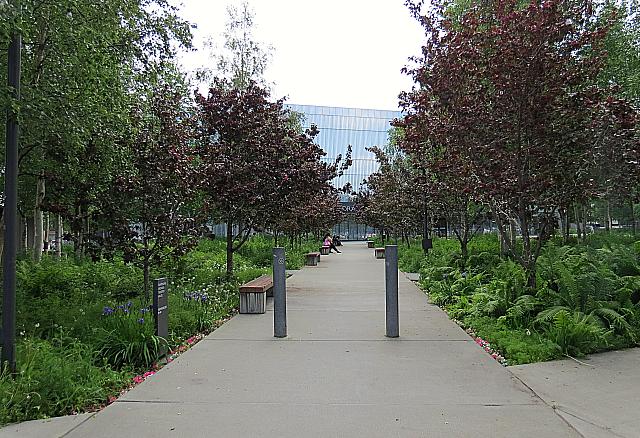 IMG 2589
