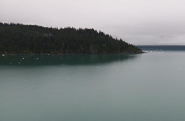 IMG 2356