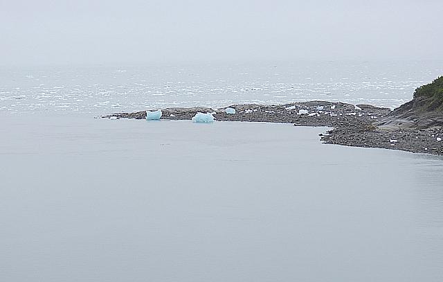 IMG 2703