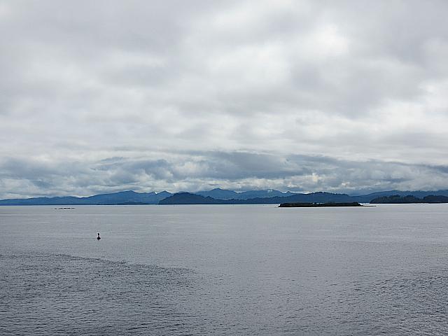IMG 2553