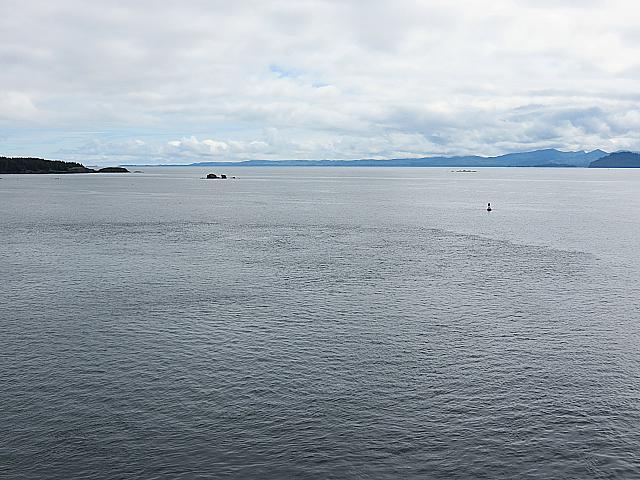 IMG 2554