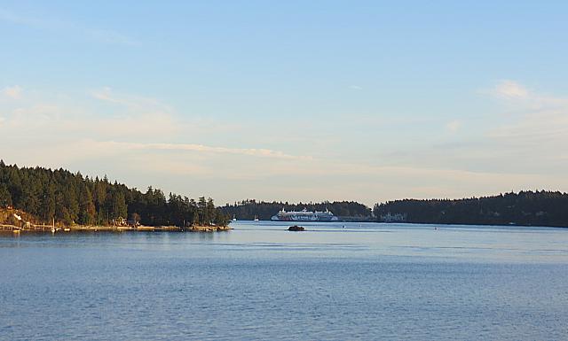 IMG 3067