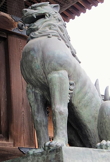 IMG 3599