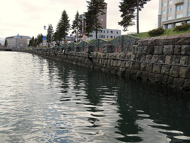 IMG 3969