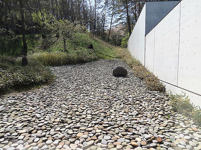 IMG 3809