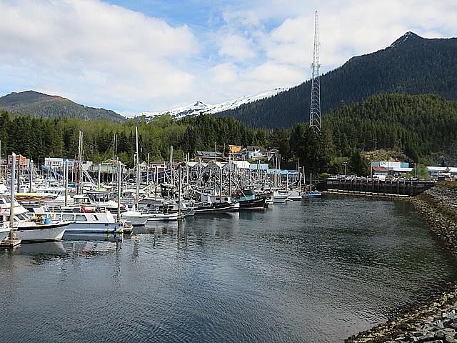 IMG 4266