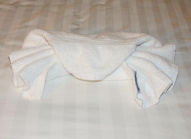 IMG 4287