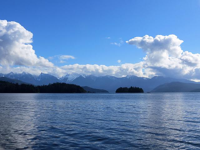 IMG 7145