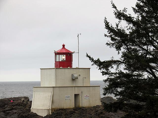 IMG 7257