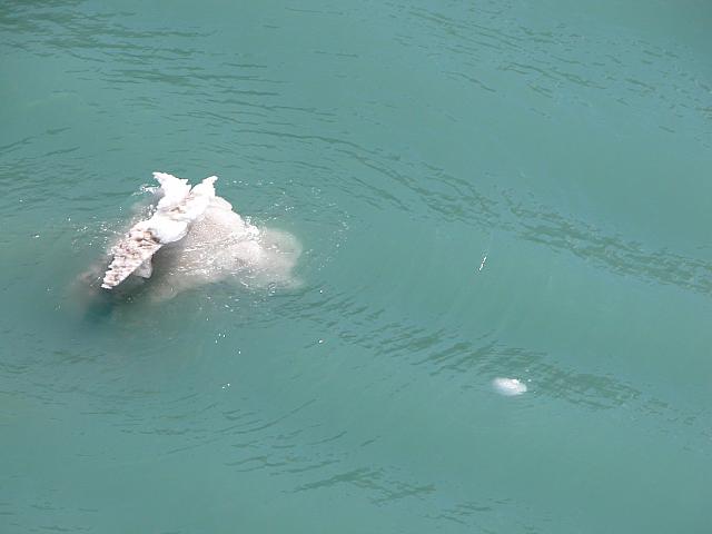 Alaska2005A 124