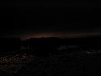 IMG 0455