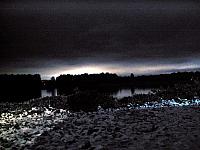 IMG 0455 adj