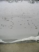 IMG 0609