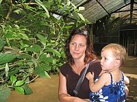 IMG 6927