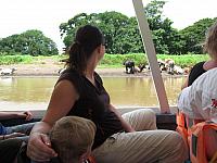 IMG 6949