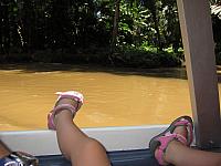 IMG 6982