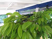 IMG 7020