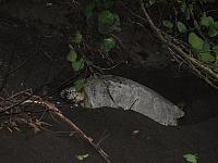 IMG 7048