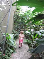 IMG 7426