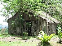 IMG 7535