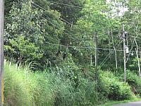 IMG 7580