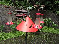 IMG 7749