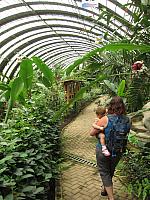 IMG 7781