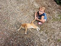 IMG 7852