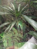 IMG 7878