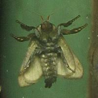 IMG 7946b