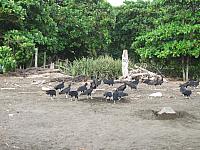 IMG 8079