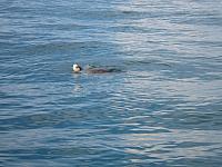 IMG 8464