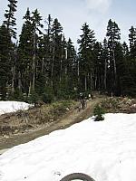 IMG 4617