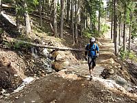 IMG 4675