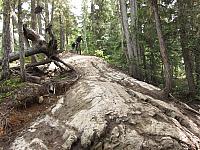 IMG 4680