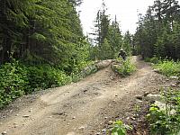 IMG 4705