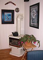 Family Room Gas Stove Blooming Cactus