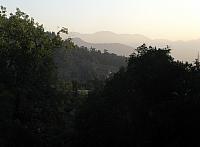 Picture 009