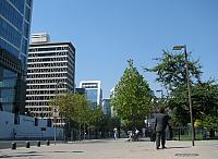 Picture 010