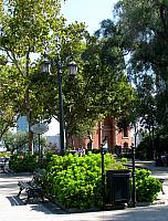 Picture 225