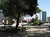 Picture 226