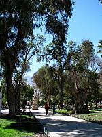AZ 035
