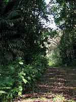 IMG 2065