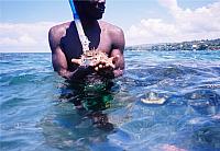 9-Ocho Rios