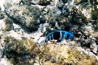 405718-R1-044-20A 022