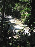 IMG 2353